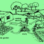 Integrated Farming: Solusi Pertanian Berkelanjutan dan Menguntungkan